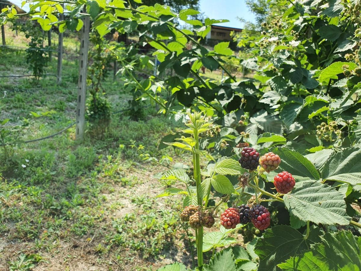 Agriturismo Il Burlino Apartments Lerma Экстерьер фото