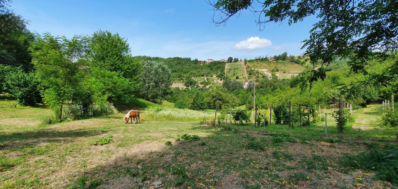 Agriturismo Il Burlino Apartments Lerma Экстерьер фото