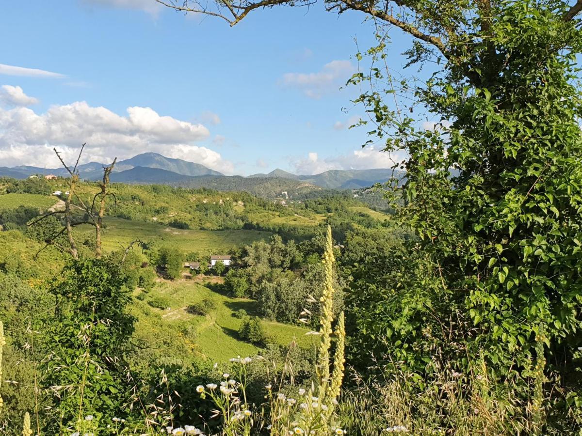 Agriturismo Il Burlino Apartments Lerma Экстерьер фото