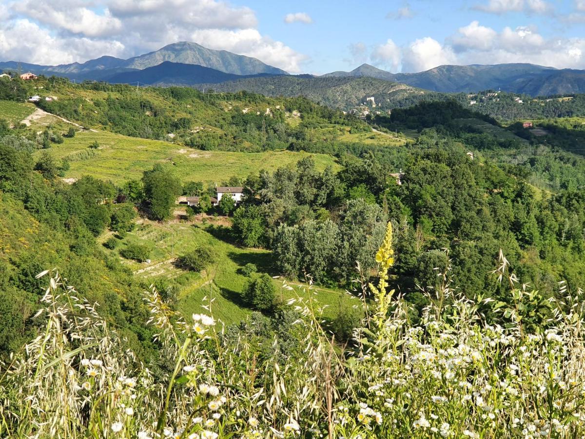 Agriturismo Il Burlino Apartments Lerma Экстерьер фото